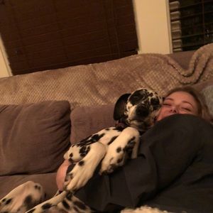 Meet your Posher, Arielle